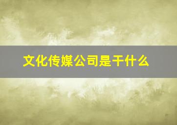 文化传媒公司是干什么