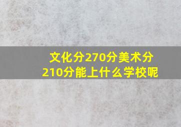 文化分270分美术分210分能上什么学校呢