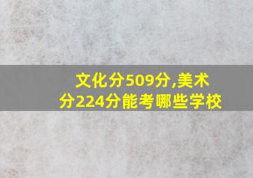 文化分509分,美术分224分能考哪些学校