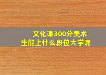 文化课300分美术生能上什么段位大学呢