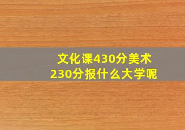 文化课430分美术230分报什么大学呢