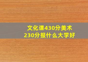 文化课430分美术230分报什么大学好