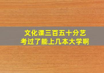 文化课三百五十分艺考过了能上几本大学啊