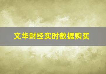 文华财经实时数据购买