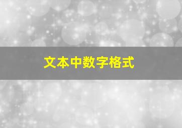 文本中数字格式