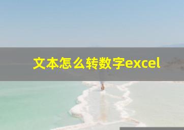 文本怎么转数字excel