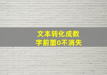 文本转化成数字前面0不消失