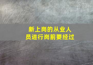 新上岗的从业人员进行岗前要经过