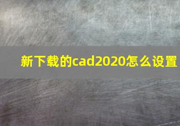 新下载的cad2020怎么设置