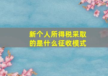 新个人所得税采取的是什么征收模式