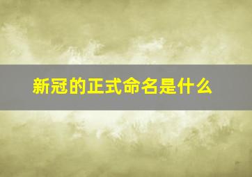 新冠的正式命名是什么