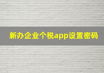 新办企业个税app设置密码