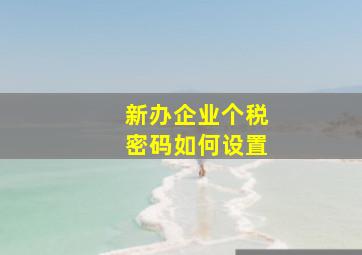 新办企业个税密码如何设置