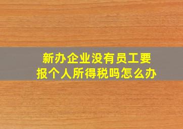 新办企业没有员工要报个人所得税吗怎么办