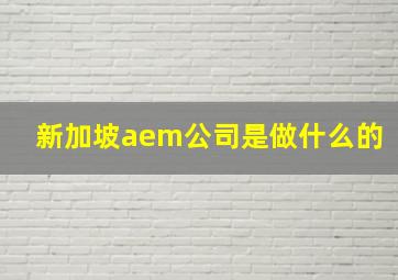 新加坡aem公司是做什么的