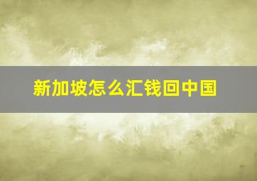 新加坡怎么汇钱回中国