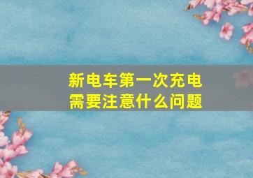 新电车第一次充电需要注意什么问题