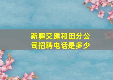 新疆交建和田分公司招聘电话是多少