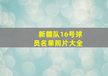 新疆队16号球员名单照片大全