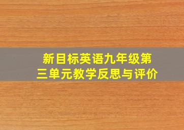 新目标英语九年级第三单元教学反思与评价