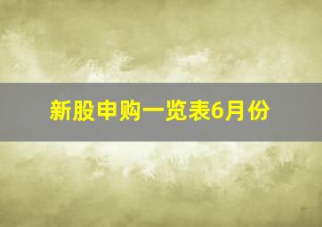 新股申购一览表6月份