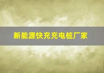 新能源快充充电桩厂家