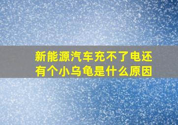 新能源汽车充不了电还有个小乌龟是什么原因