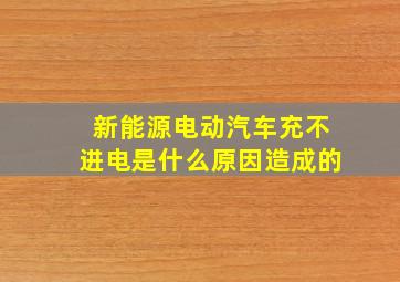 新能源电动汽车充不进电是什么原因造成的