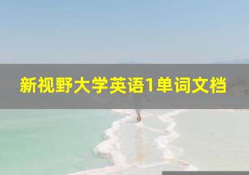 新视野大学英语1单词文档