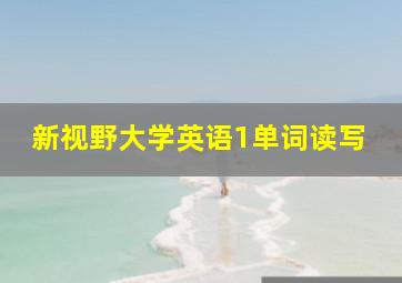 新视野大学英语1单词读写