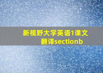 新视野大学英语1课文翻译sectionb