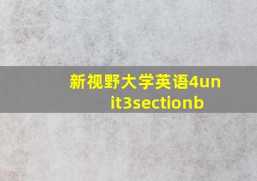 新视野大学英语4unit3sectionb