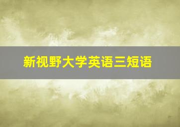 新视野大学英语三短语