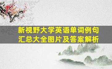 新视野大学英语单词例句汇总大全图片及答案解析