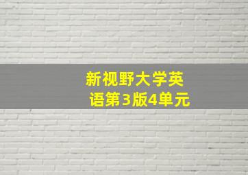 新视野大学英语第3版4单元