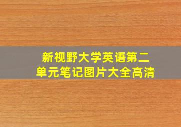 新视野大学英语第二单元笔记图片大全高清