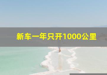 新车一年只开1000公里