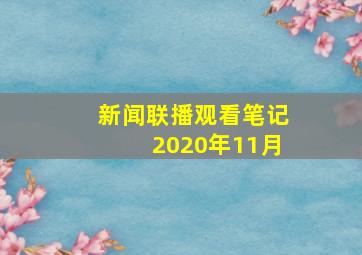 新闻联播观看笔记2020年11月