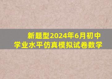 新题型2024年6月初中学业水平仿真模拟试卷数学