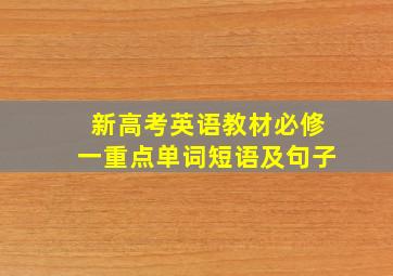 新高考英语教材必修一重点单词短语及句子