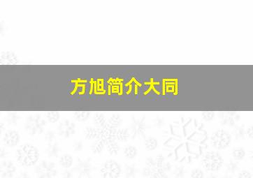 方旭简介大同