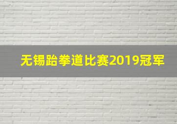 无锡跆拳道比赛2019冠军