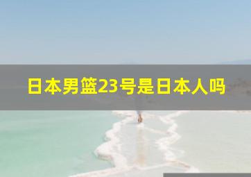 日本男篮23号是日本人吗