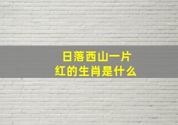 日落西山一片红的生肖是什么