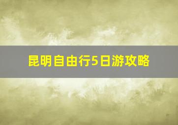 昆明自由行5日游攻略