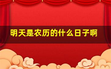 明天是农历的什么日子啊