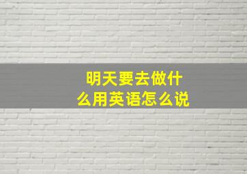 明天要去做什么用英语怎么说