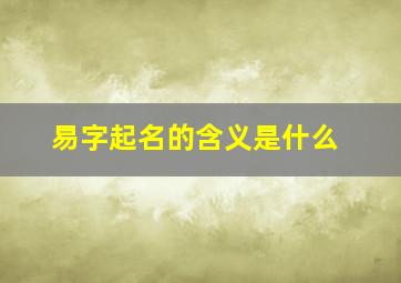 易字起名的含义是什么