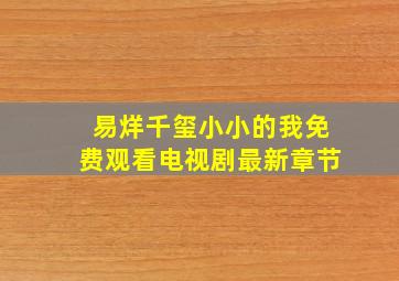 易烊千玺小小的我免费观看电视剧最新章节