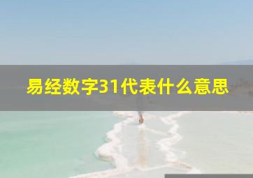 易经数字31代表什么意思